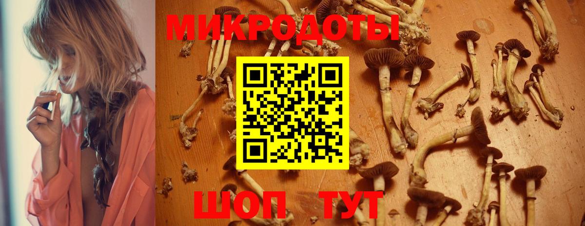 Конопля Хабаровск